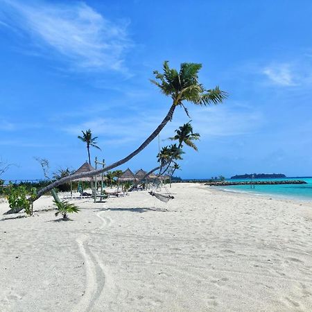 Palm Lagoon غوريدهو المظهر الخارجي الصورة