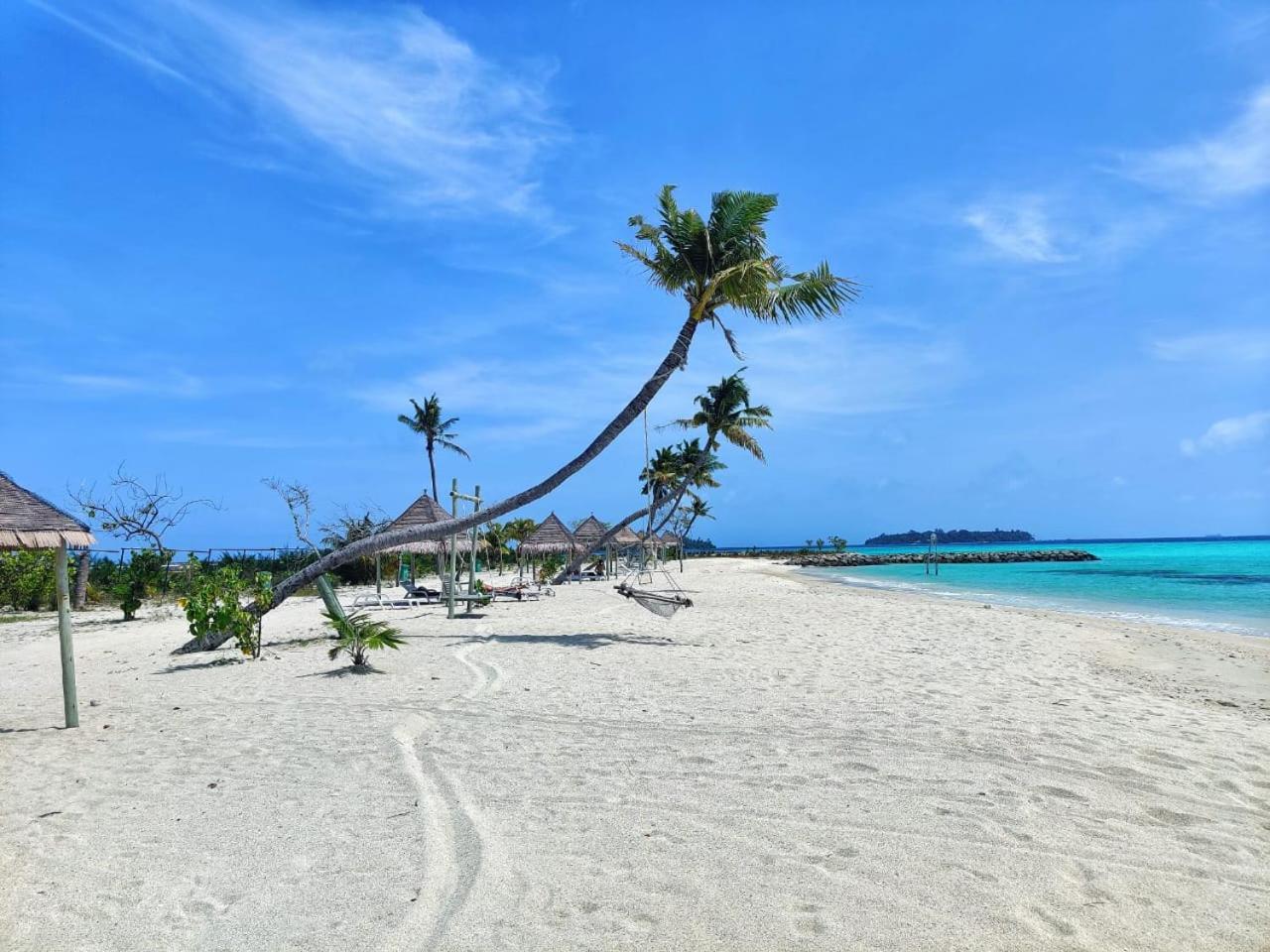 Palm Lagoon غوريدهو المظهر الخارجي الصورة